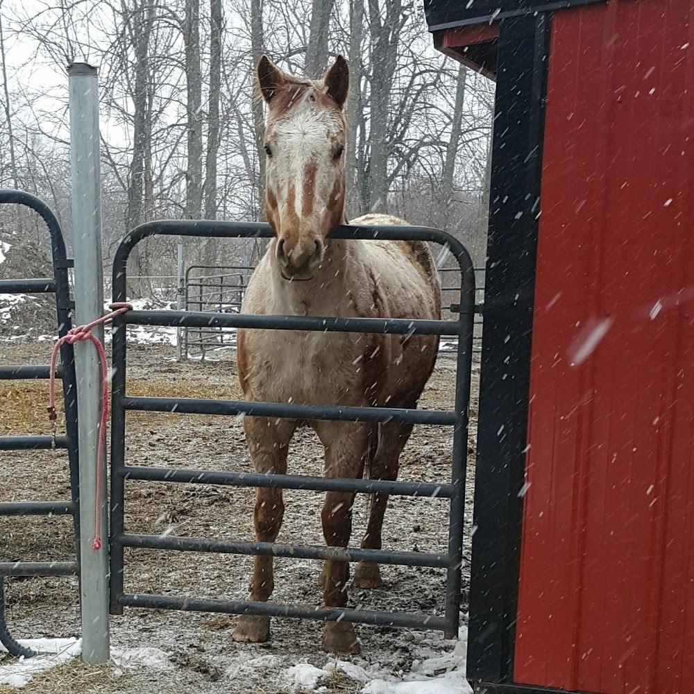Meet your Posher, Chloe